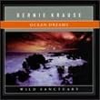 Ocean Dreams