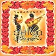 Vagabundo