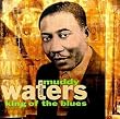 A Tribute to Muddy Waters: King of the Blues