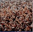 FUJI ROCK FESTIVAL '98 IN TOKYO LIVE