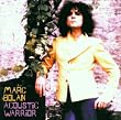 Acoustic Warrior