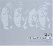 HEAVY GAUGE