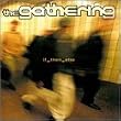 If_Then_Else
