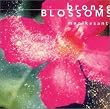 Bronze Blossoms～ブロンズの開花 バリ島ガムランの奇跡2