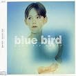 blue bird