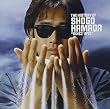 The History of Shogo Hamada―Since 1975