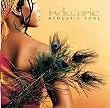Acoustic Soul