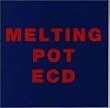 MELTING POT(メルティング・ポット)