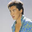 ベスト・コレクション