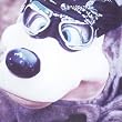 C.B.Jim