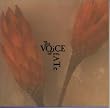 THE VOICE OF FATE〜救命病棟24時 オリジナル・ドラマ・トラックス〜