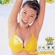 フジテレビ ビジュアル・クイーン・オブ・ザ・イヤー’00「川村亜紀 ALOHA PARADISE」 [DVD]