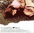 ビョークの「ネズの木」～ グリム童話より [DVD]