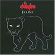 Feline
