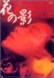 花の影