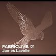 James Lavelle: Fabriclive 01