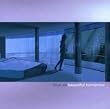 Beautiful Tomorrow