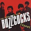 Ever Fallen in Love?: Buzzcocks Finest