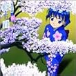 藍より青し 藍青音盤-“桜”(通常)