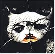 Black Earth