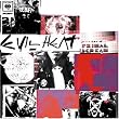 Evil Heat