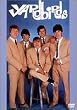 ヤードバーズ [DVD]