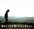 Sacred Hills~聖なる丘~