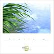「おねがい☆ティーチャー」ヴォーカルアルバム~Stokesia~