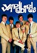 Yardbirds [DVD] [Import]