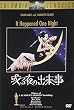 或る夜の出来事