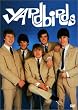 Yardbirds [DVD] [Import]