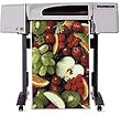 hp C7769B#ABJ hp designjet 500 (A1)