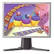 ViewSonic VP171S