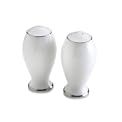 Mikasa Cameo Platinum Salt & Pepper Set