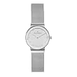 Skagen Women's Silver Dial Mesh Bracelet Watch #358SSSD