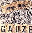 限界は何処だ