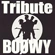 BOφWY TRIBUTE (CCCD)