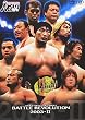PRO-WRESTLING NOAH バトル・レヴォリューション2003-II [DVD]