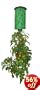 Felknor Ventures 82506 Topsy Turvy Upside-Down Tomato Planter
