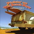 Pickin' on the Beach Boys: A Bluegrass Tribute