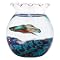 Shop for Fishbowls