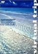 virtual trip THE BEACH MALDIVES