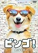 ビンゴ !