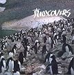 真心COVERS  (CCCD)