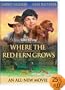 Where the Red Fern Grows