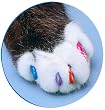 ソフトクロースターターキット M ブルー