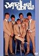 ヤードバーズ [DVD]