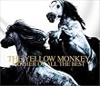 THE YELLOW MONKEY MOTHER OF ALL THE BEST (初回生産限定盤)
