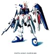 1/60 フリーダムガンダム