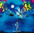月光花(DVD付)
